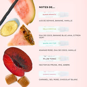 Vials de 2 ml de GUAVA GRANITA Eau de Parfum, ISLA SIRENA Eau de Parfum, MIAMI NECTAR Eau de Parfum, PLUM TONIC Eau de Parfum et QUEENS CARAMEL Eau de Parfum à côté de goyave tranchée, banane, ananas rose et prune, cubes de caramel et une gousse de vanille sur un fond rose avec du texte noir qui indique : 