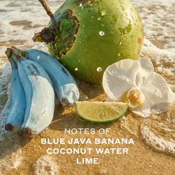 A green coconut, bunch of blue bananas, white flower and lime slice sit on ocean water and sand with water droplets in the air and white text that reads 